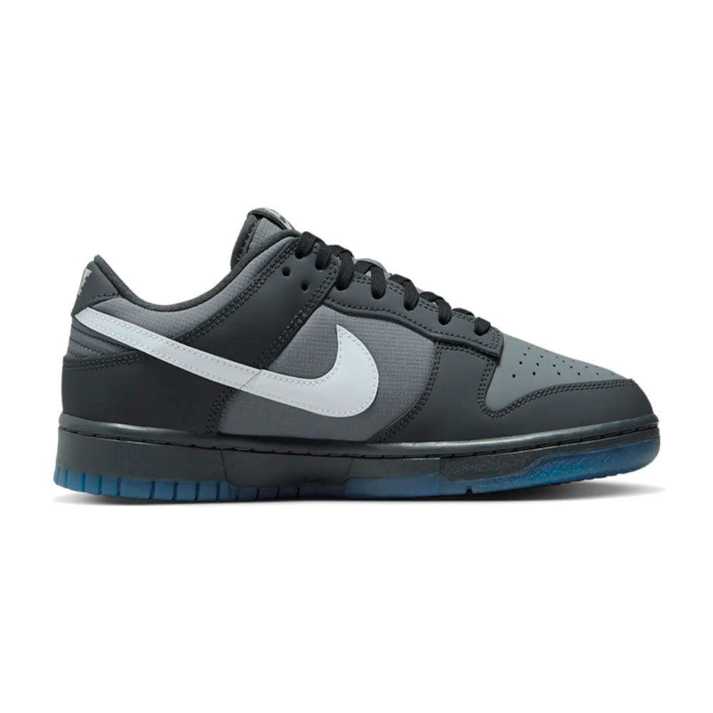 Nike Dunk Low Retro Premium Men's Shoes
